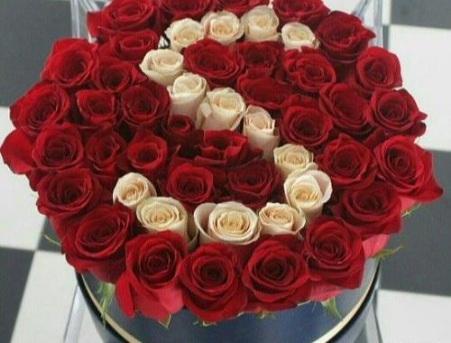 عکس نوشته زیبای گل