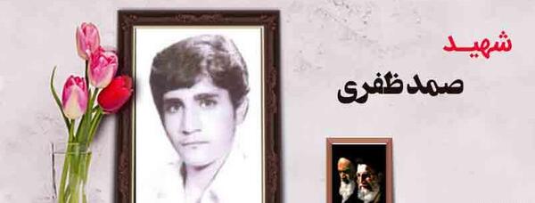 عکس محمدرضا ظفری
