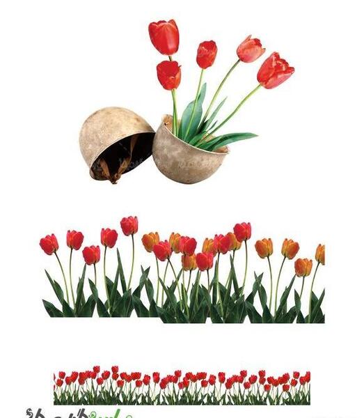 عکس گل لاله خون شهیدان