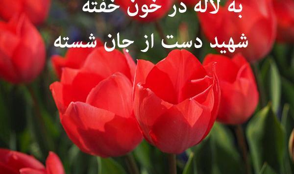 عکس گل لاله خون شهیدان