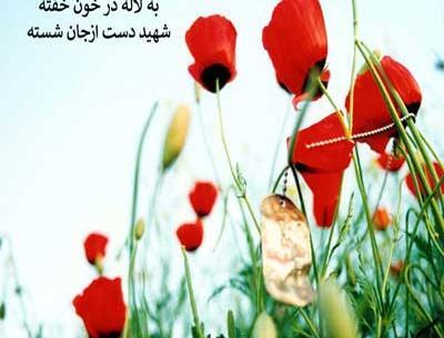 عکس گل لاله خون شهیدان