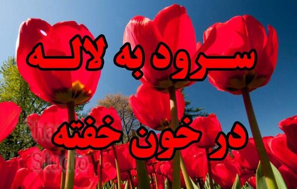 عکس گل لاله خون شهیدان