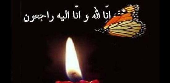 عکس پروانه و شمع