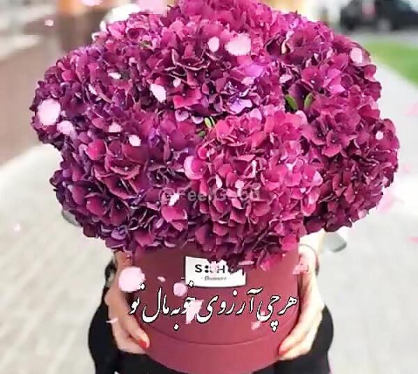 عکس نوشته هرچی آرزوی خوبه مال تو