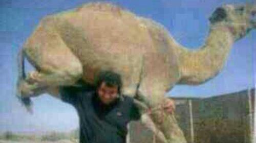 عکس حسین دلیرانی