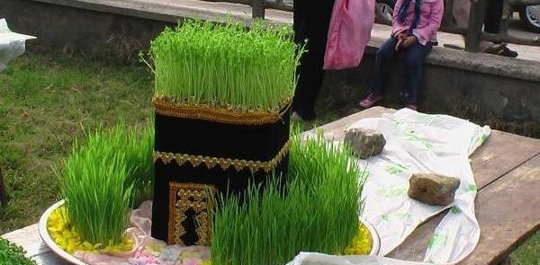 عکس سبزه عید برای کودکان