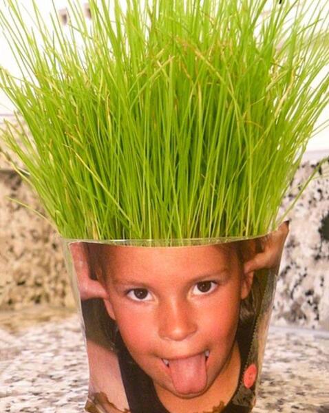 عکس سبزه عید برای کودکان