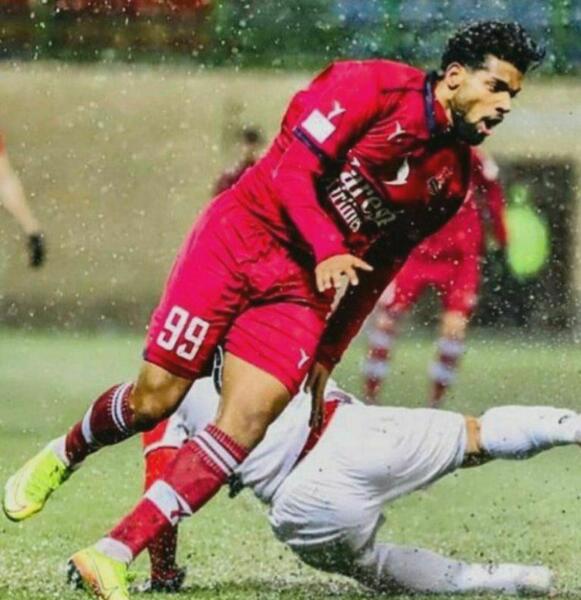 عکس سجاد گل محمدی