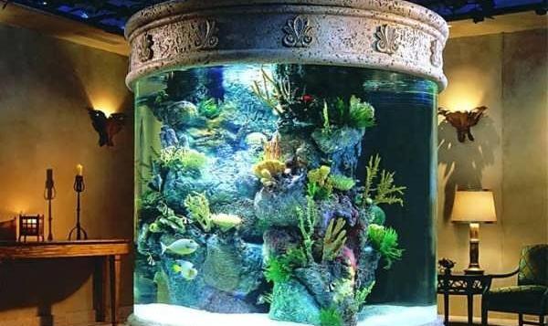 عکس آکواریوم لاکچری