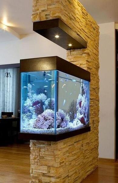 عکس آکواریوم لاکچری