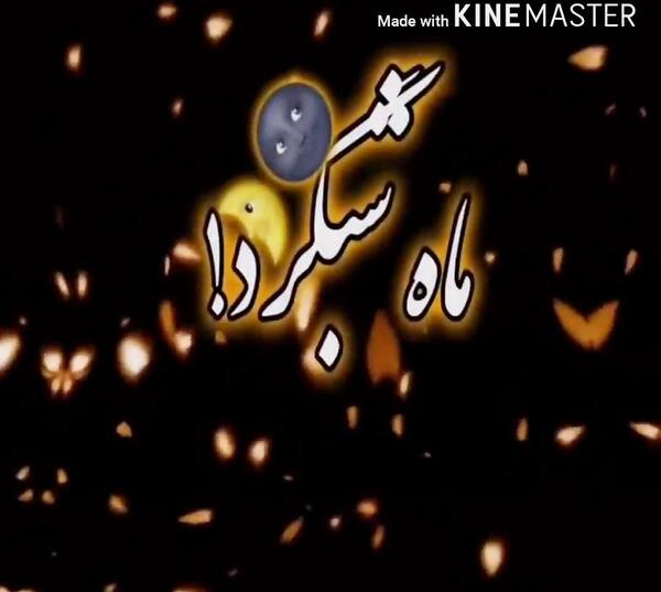 عکس شبگرد