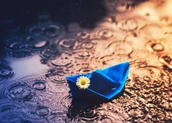 عکس ساده و بدون متن