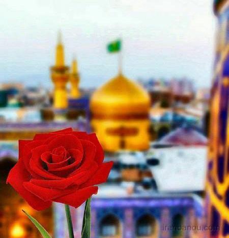 عکس حرم امام رضا با گل