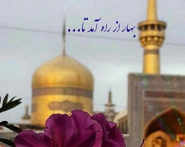 عکس حرم امام رضا با گل