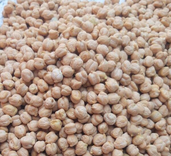 عکس نخود آبگوشتی