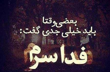 عکس نوشته گور پدر همه