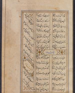 عکس رخ یار حافظ