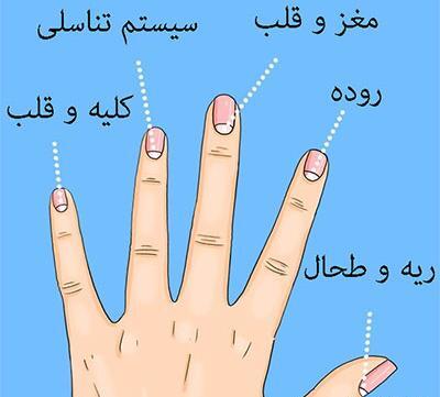 عکس سفیدی ناخن