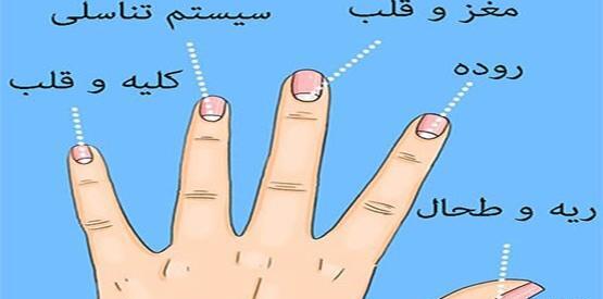 عکس سفیدی ناخن