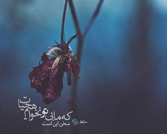 عکس نوشته اشعار علیرضا آذر