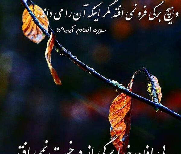 عکس خدایا جز تو امیدی ندارم