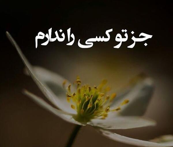 عکس خدایا جز تو امیدی ندارم