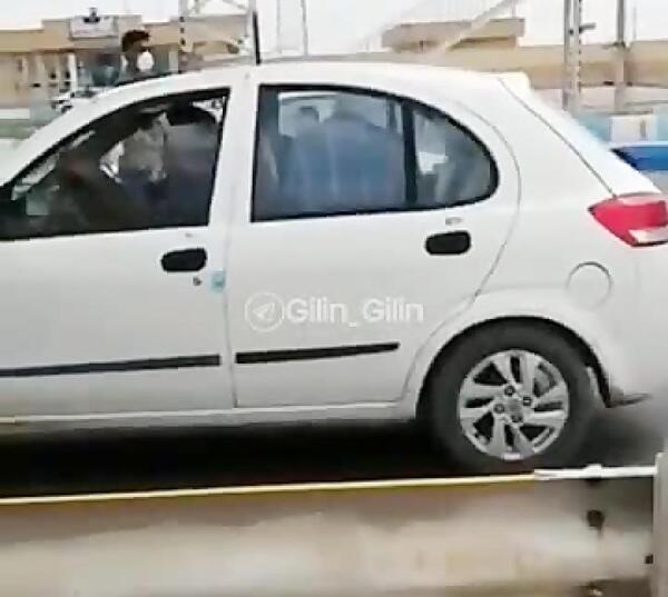 عکس ضرب المثل موش