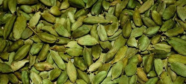 عکس چای هل