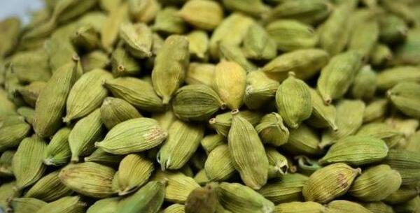 عکس چای هل