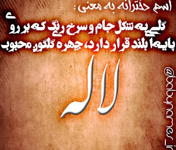 عکس نوشته لاله
