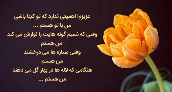عکس نوشته لاله