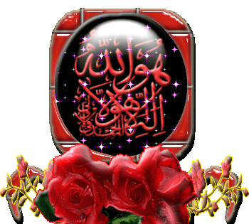 عکس الله جل جلاله