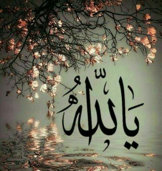 عکس الله جل جلاله