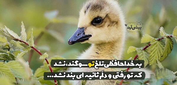 عکس نوشته سوگند به لبخند تو دل من بند تو