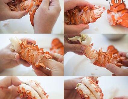 عکس غذای لابستر