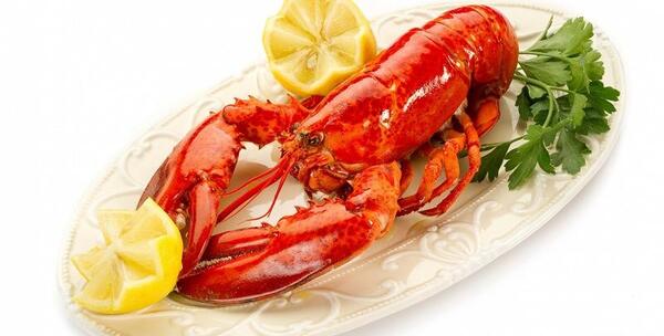 عکس غذای لابستر