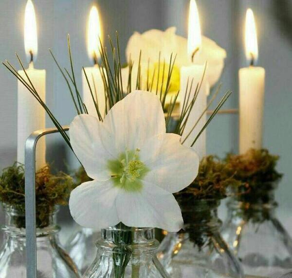 عکس فاتحه و صلوات برای پدر