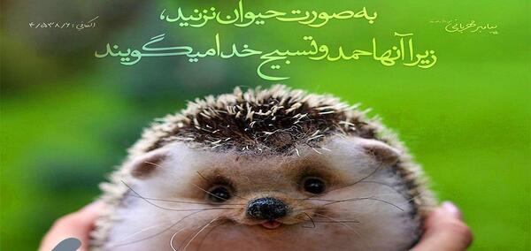 عکس غذا دادن به حیوانات