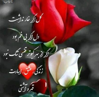 زیباترین عکس های خاص و زیبا