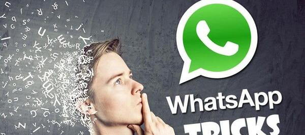 عکس پروفایل واتساپ یا whatsapp viewer