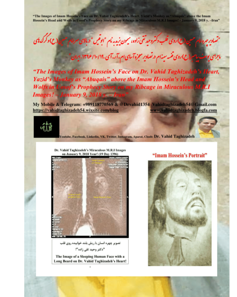 عکس میمون یزید