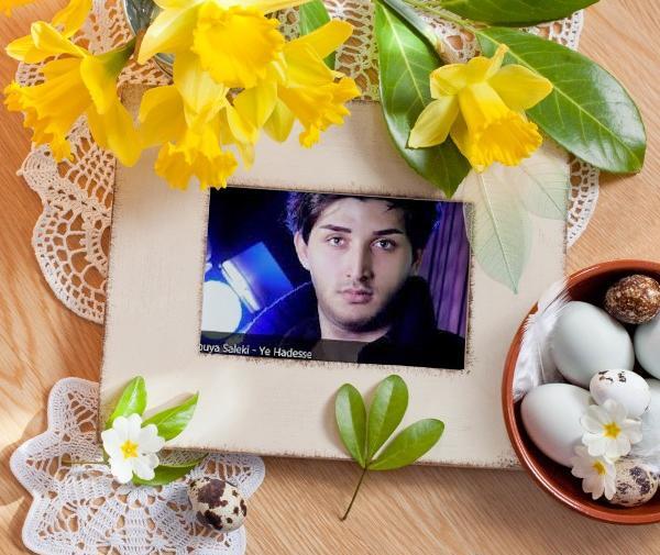 عکس پویا سالکی