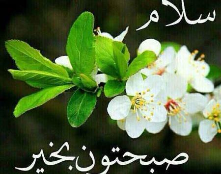 عکس صبح بخیر تلگرام