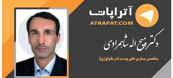 عکس دکتر ذبیح اله شاهمرادی