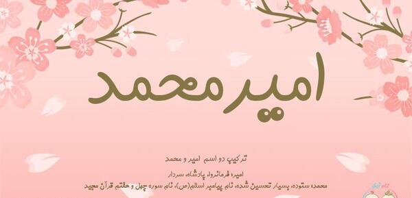 عکس نوشته برای امیر محمد