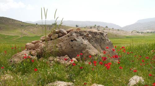عکس از طبیعت آبدانان