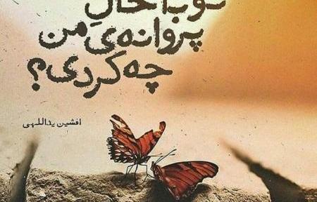 عکس نوشته تو باحال پروانه من چه کردی