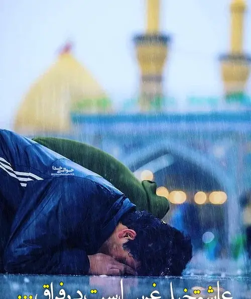 عکس ابوالفضل غریبی