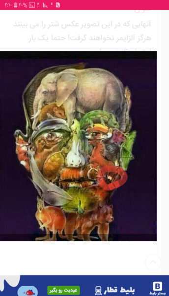 عکس شتر را پیدا کنید