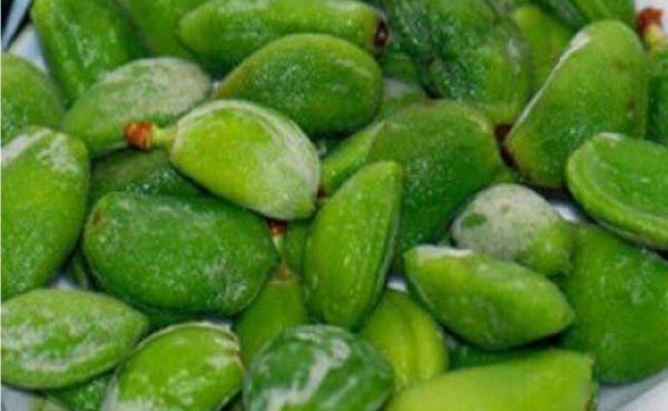 عکس میوه های بهاری خوشمزه